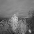 Webcam_20241003-193000
