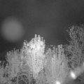Webcam_20241003-200000