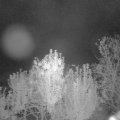 Webcam_20241003-203000