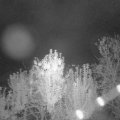 Webcam_20241003-204500