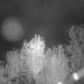 Webcam_20241004-054500
