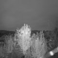 Webcam_20241004-070000