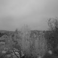 Webcam_20241004-071500