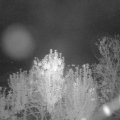 Webcam_20241004-201500