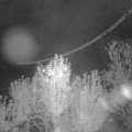 Webcam_20241005-053000