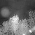 Webcam_20241005-054500