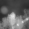 Webcam_20241005-203000