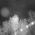 Webcam_20241005-204500