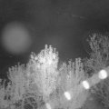 Webcam_20241006-051500