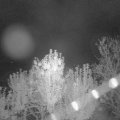 Webcam_20241006-053000