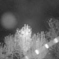 Webcam_20241006-060000