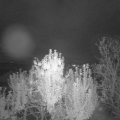 Webcam_20241006-194500