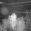 Webcam_20241007-051500