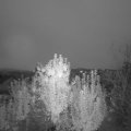 Webcam_20241007-070000
