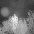 Webcam_20241007-201500