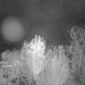 Webcam_20241007-204500