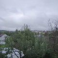 Webcam_20241008-113000