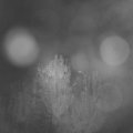 Webcam_20241008-200000