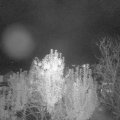 Webcam_20241009-201500