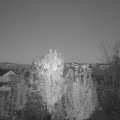 Webcam_20241011-191500