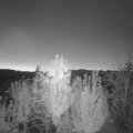 Webcam_20241012-064500