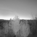 Webcam_20241012-070000