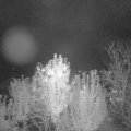 Webcam_20241012-204500