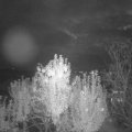 Webcam_20241014-201500