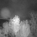 Webcam_20241015-063000
