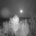 Webcam_20241015-194500