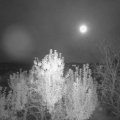 Webcam_20241015-201500
