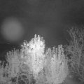 Webcam_20241016-053000