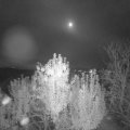Webcam_20241016-204500