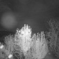 Webcam_20241017-054500