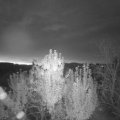 Webcam_20241017-070000