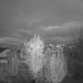 Webcam_20241017-190000