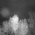 Webcam_20241018-204500