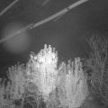 Webcam_20241019-051500