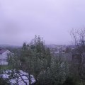 Webcam_20241019-084500