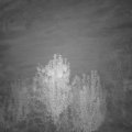 Webcam_20241020-201500
