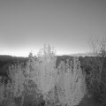 Webcam_20241023-071500