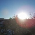 Webcam_20241023-090000