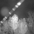 Webcam_20241026-190035