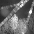 Webcam_20241027-201500