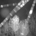 Webcam_20241027-213000