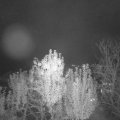 Webcam_20241028-201500