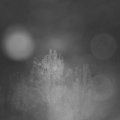 Webcam_20241030-060000