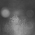Webcam_20241030-061500