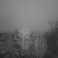 Webcam_20241030-064500