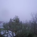 Webcam_20241030-070000